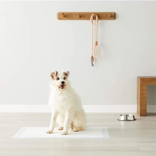 Amazon Basics Dog and Puppy Pee Pads - Noubelkit