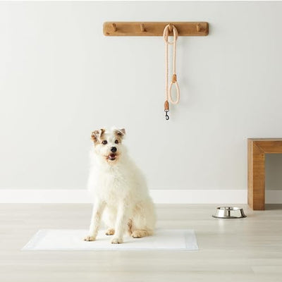Amazon Basics Dog and Puppy Pee Pads - Noubelkit