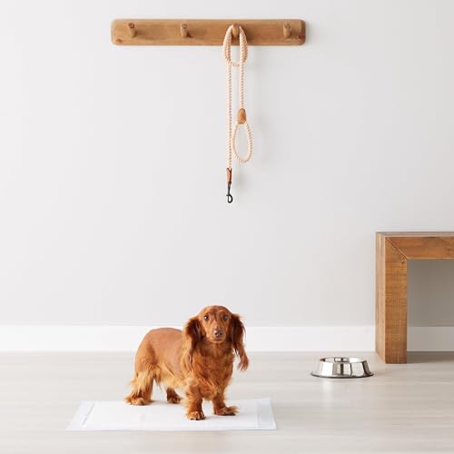 Amazon Basics Dog and Puppy Pee Pads - Noubelkit