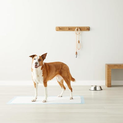 Amazon Basics Dog and Puppy Pee Pads - Noubelkit
