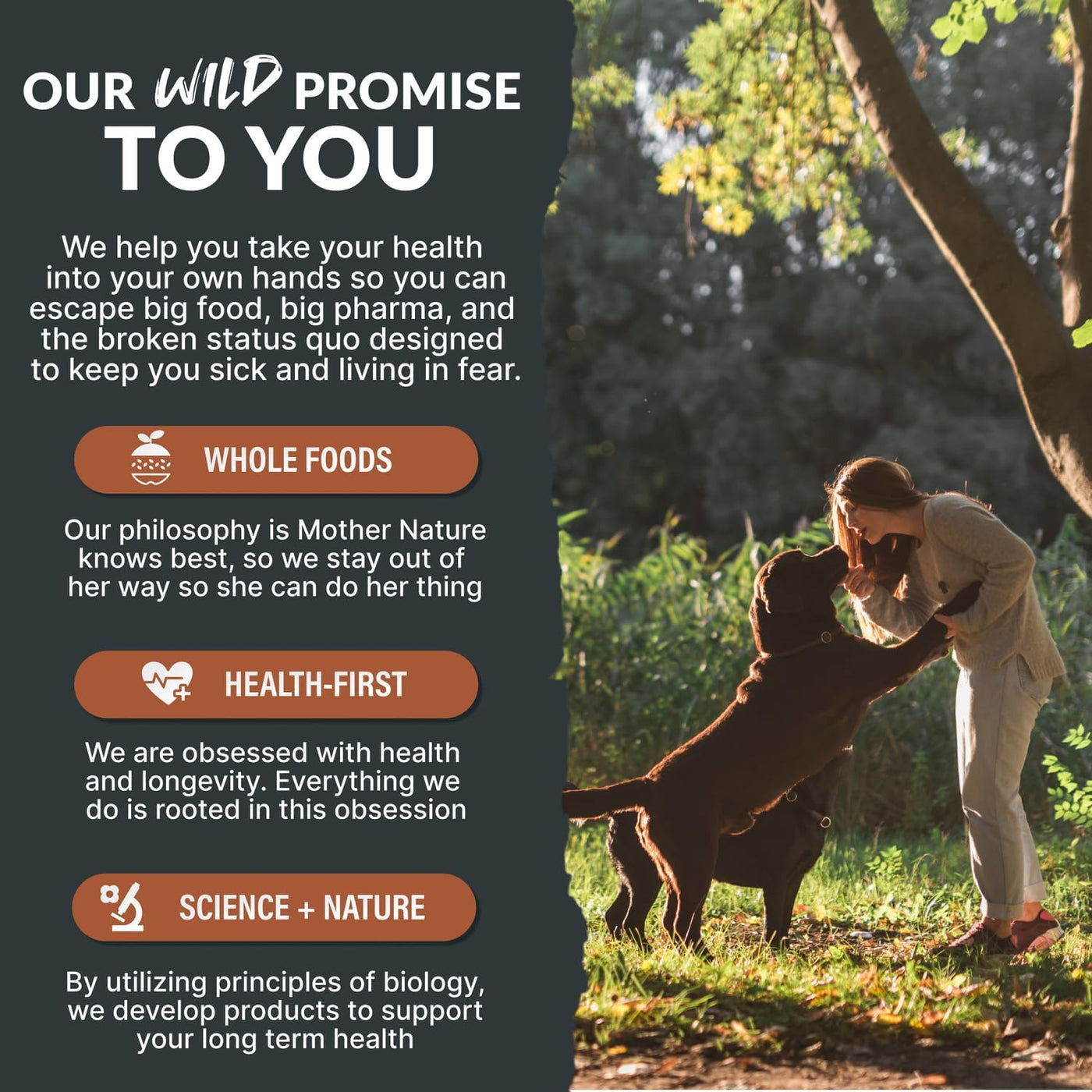 Wild Foods Dog Bone Broth Powder