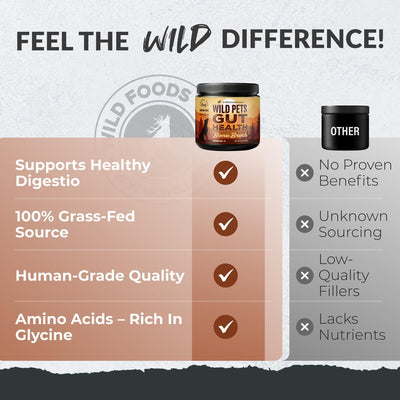 Wild Foods Dog Bone Broth Powder