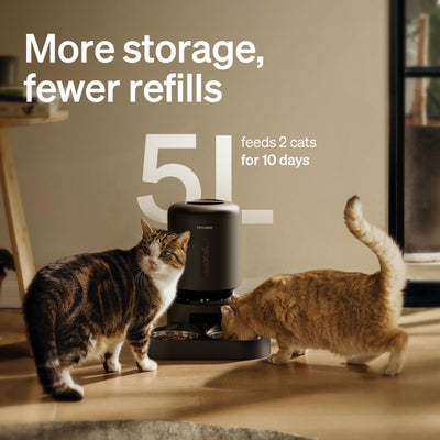 PETLIBRO Automatic Cat Feeder