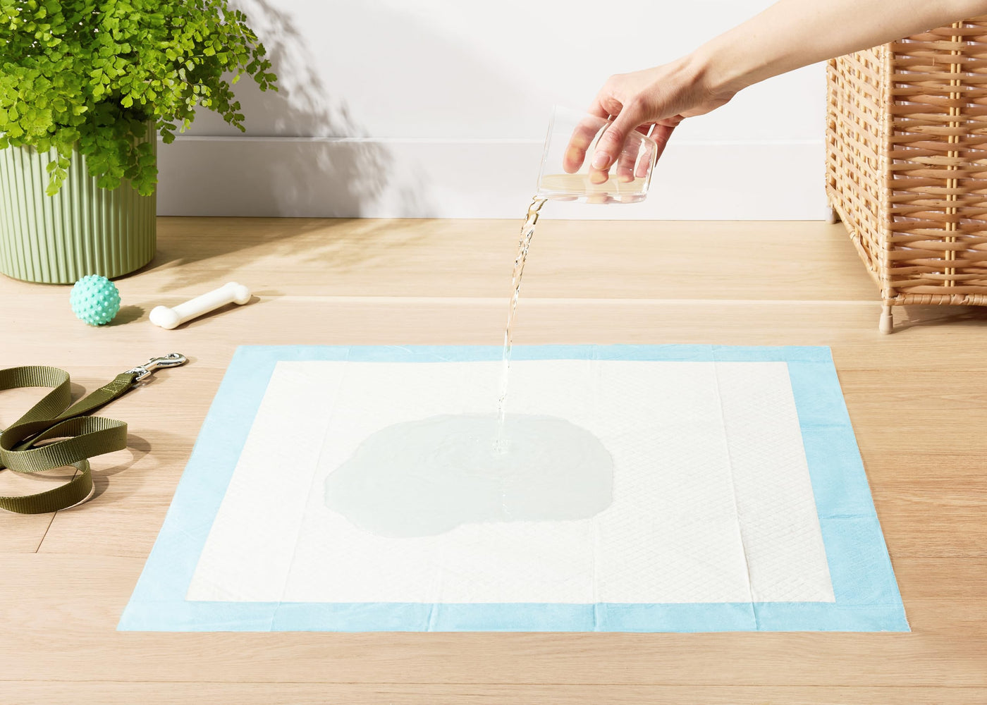 Amazon Basics Dog and Puppy Pee Pads - Noubelkit